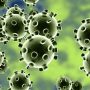 Het Coronavirus COVID-19 en onze maatregelen